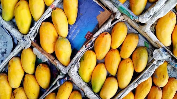 THE MANGO